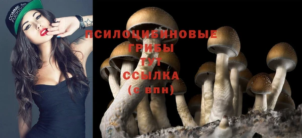трава Аркадак