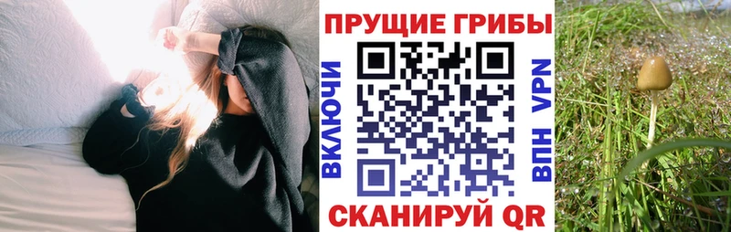 Псилоцибиновые грибы прущие грибы  маркетплейс формула  Хадыженск 